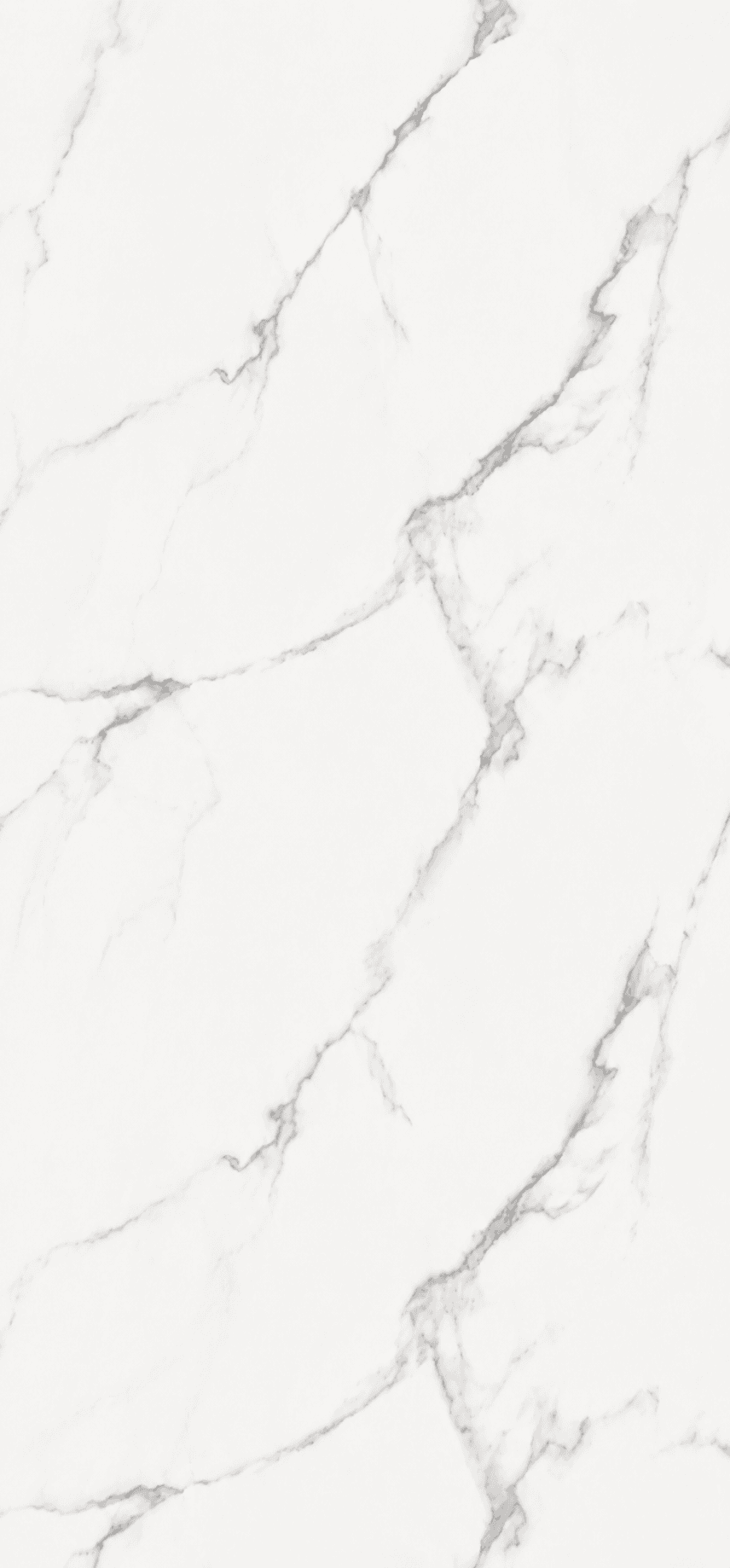 Calacatta Clasico - Revestimiento de pared pvc | paneles decorativos — vista 1